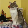 Отзыв от Роза Швецова